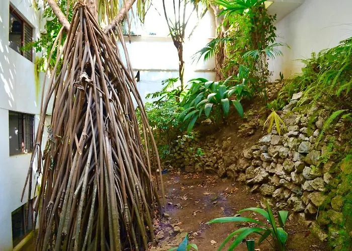 Hermosa Habitacion Privada En La Sabana, San Jose
