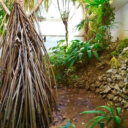 Hermosa Habitacion Privada En La Sabana, San Jose Exterior photo